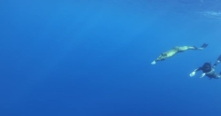 /tr/video/imagethumbshow.html?img=p1culralq0as0b2k1fi71tq4g154.jpg&size=300'